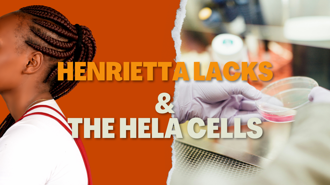 How Henrietta Lacks Changed Science Forever – Without Even Knowing It